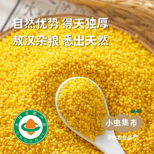 【2025年新米】有机敖汉南大城小米 5斤装| 合作农友生产，产自内蒙古敖汉核心产区，生产者:安亮 &【公平贸易农人定价】 商品图1