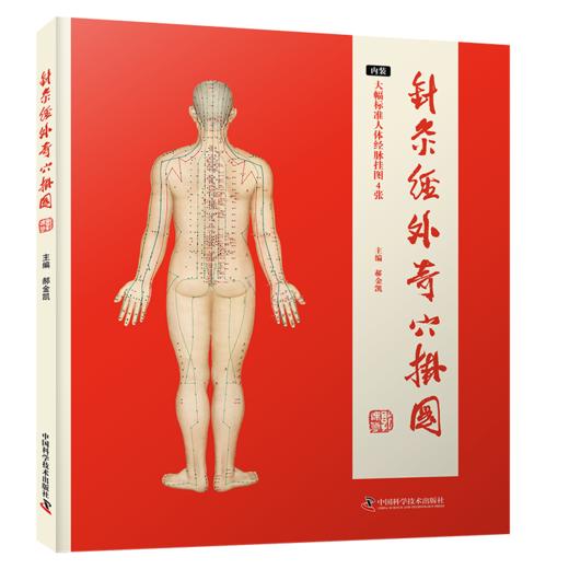 针灸经外奇穴挂图 商品图1