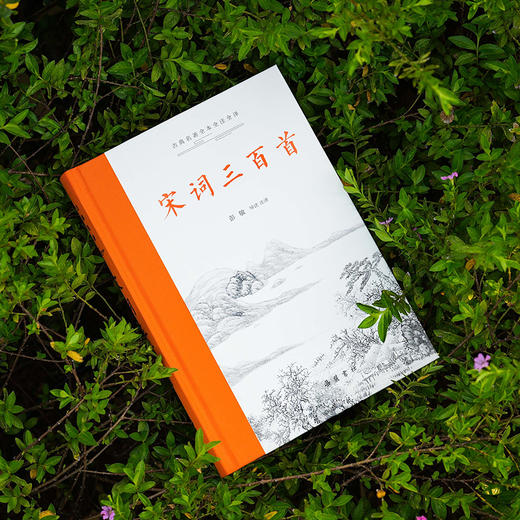 古典名著全本全注全译:宋词三百首 商品图2