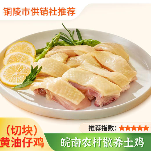 【锅汇食材】皖南农家散养 黄油切块仔母鸡600g*3盒 野外放养 笨鸡 走地鸡 商品图0
