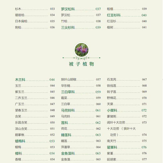 《600种郊野植物图鉴》 商品图6