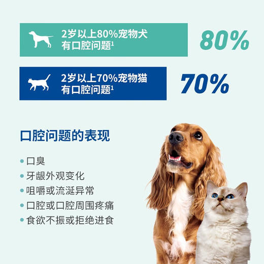 【法国维克】牙膏 适用于猫/小型犬  宠物牙膏套装  刷牙结石 缓解口臭 宠物牙膏可食用 商品图5