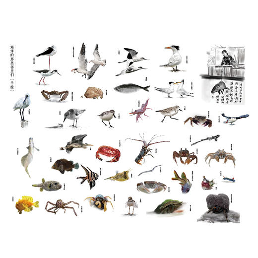 《海洋邻里》   曲利明编著 海峡书局【官方正版 48小时发货】 商品图2