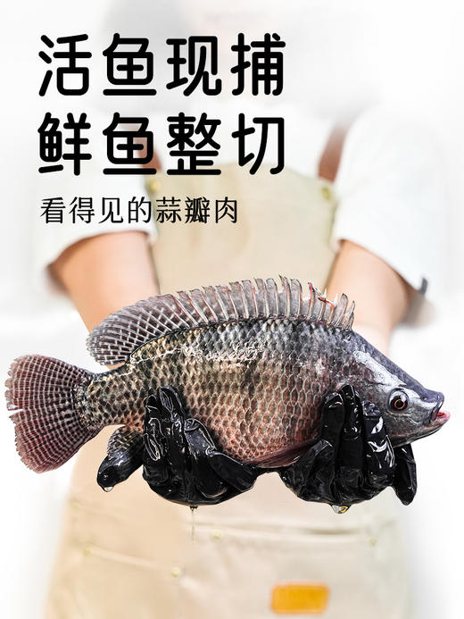 小黄象橄榄油香煎无抗鱼排 商品图3