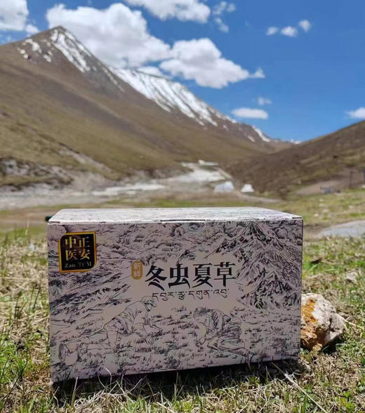 正安好礼 野生冬虫夏草 来自青海的好虫草 人工寻采 高海拔高品质【不可用券】【因为虫草为新鲜产品，无质量问题不可拒收，不可换货】 商品图14