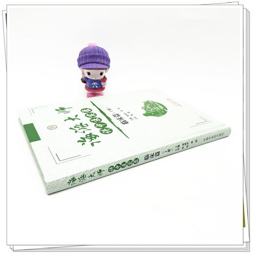 海派大师讲中医实录:临床篇(上册) 邹纯朴 张挺 主编 中国中医药出版社 伤寒论金匮要略温病学中药方剂妇科学 临床书籍 商品图2