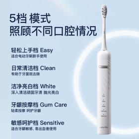 舒客情侣电动牙刷成人学生送男友/女友护龈声波5档模式 生日礼物 T3极夜蓝 牙刷