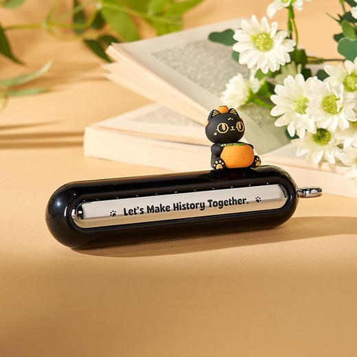 大英博物馆 盖亚·安德森猫和她的朋友们系列 柿柿如意巴斯特猫双号码 停车牌 商品图2