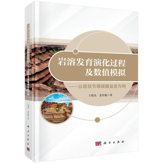 岩溶发育演化过程及数值模拟——以层状节理碳酸盐岩为例 商品图0