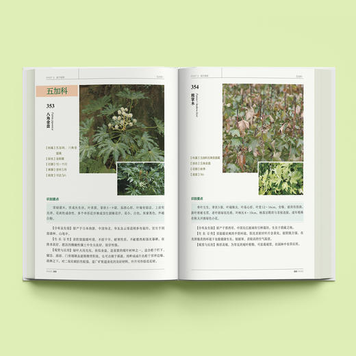 《600种郊野植物图鉴》 商品图4