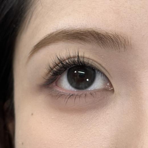 Serltyca日抛-淡颜黑 商品图11