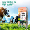 皇氏乳业 利康苗条包桂林牧场纯牛奶 200mL*10盒 整箱 商品缩略图4