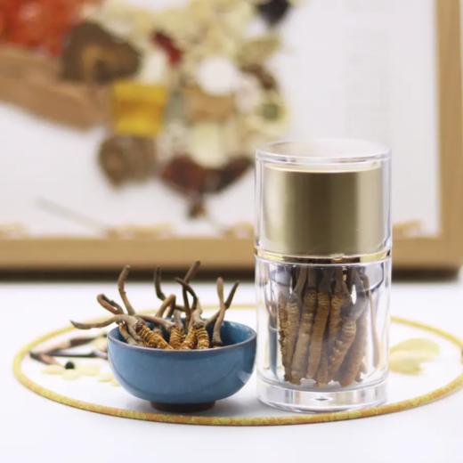 正安 冻干野生冬虫夏草 医馆严选虫体饱满未喷粉 青藏高海拔赞安原材 肺部咳嗽虚弱肾气 泡水煲汤商务长辈礼品 虫草【不可用券】【预售至4月8日发货】 商品图1