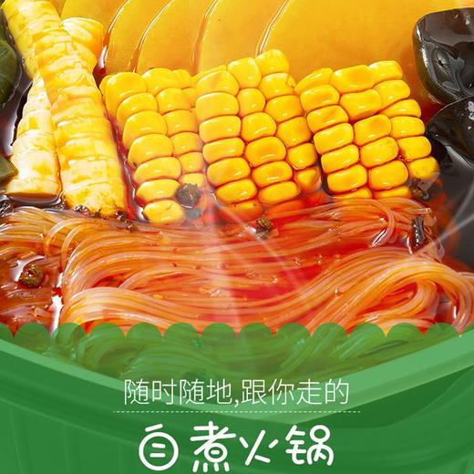海底捞香辣素食自煮火锅套餐 400g 商品图2