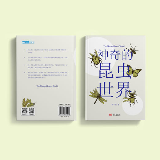 《神奇的昆虫世界》 商品图14