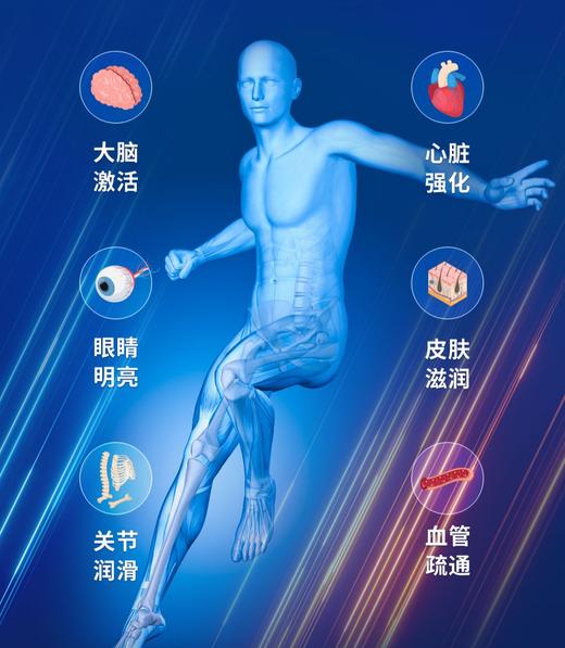 澳至尊野生南极磷虾油鱼油胶囊60粒  有效期2028-01-05 商品图3