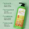 国货之光   章华小麦精华洗发水750ML染烫滋润型 商品缩略图1