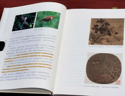 特装！！《形理两全：宋画中的鸟类》，签名本，陈水华 著，小16开，精装，308页，浙江古籍出版社2024年2月一版。定价138，特装签名版138元。 商品图8