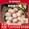 天晟牧园无抗领鲜鸡蛋30枚/盒1.59kg 商品缩略图0