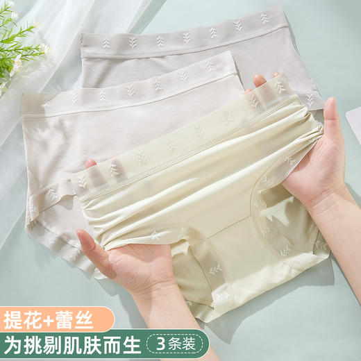【3条装】雅黛俪莫代尔女士内裤柔软舒适透气纯棉裆底三角裤不夹臀蕾丝提花裤头 商品图0