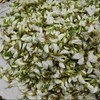秦岭野生洋槐花 | 四月槐花香树上野味 现摘现发 营养丰富 吃法百搭 清新甜蜜 初夏必备 赏味期仅有20天 商品缩略图6
