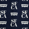 LEVIS 夏 大童小童 儿童童装衬衫 LVB-WT-N240 商品缩略图3