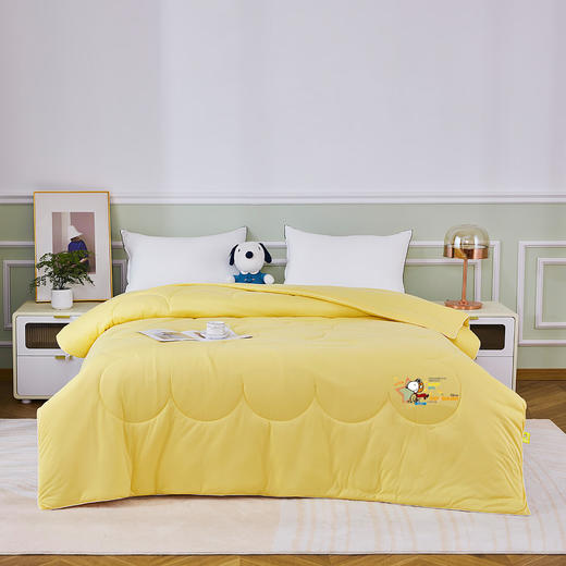史努比卡通儿童加厚被芯 黄小豆软软被夏凉被 SNB07-36  XHR 商品图0