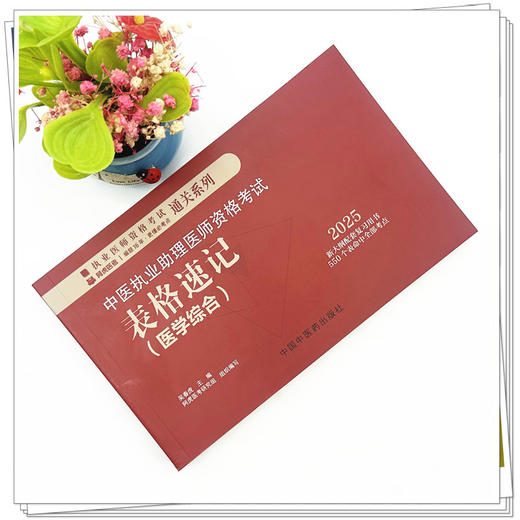2025年中医执业助理医师资格考试表格速记 中国中医药出版社 中医职业医师考试参考用书口袋书画重点复习书籍新大纲 吴春虎 主编 商品图1