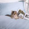 舒飘儿Suprelle全棉阻螨枕套 | 阻螨家用，亲肤柔软，大人小孩都有 商品缩略图4