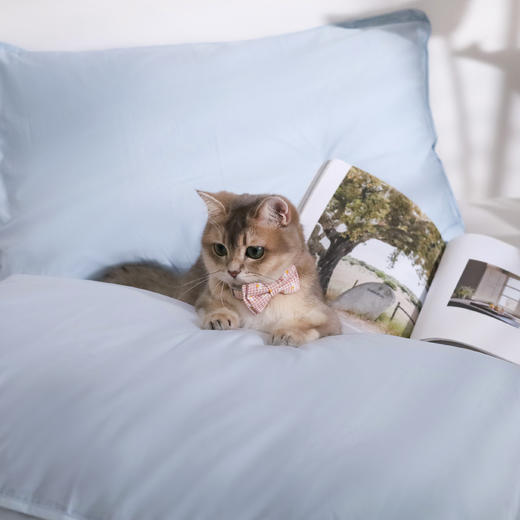 舒飘儿Suprelle全棉阻螨枕套 | 阻螨家用，亲肤柔软，大人小孩都有 商品图4