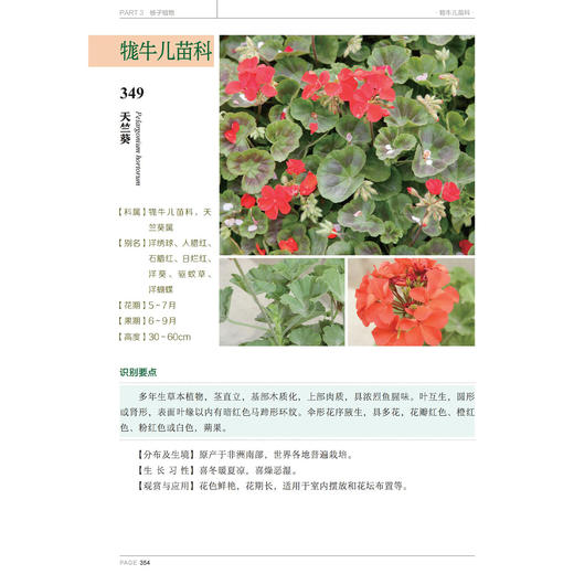 《600种郊野植物图鉴》 商品图13