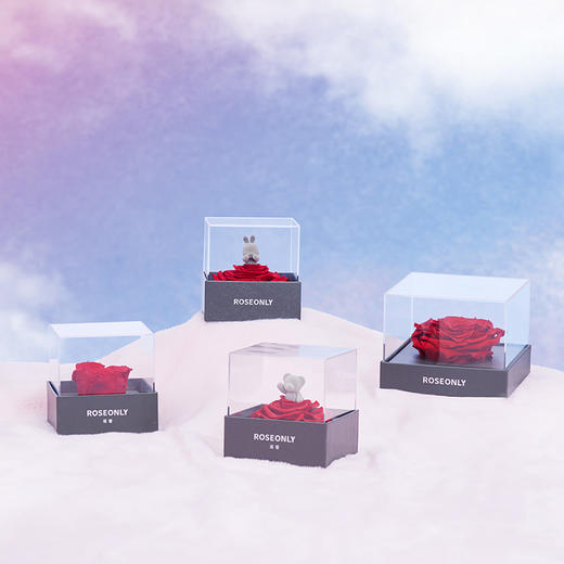 【心动集合】ROSEONLY诺誓 永生玫瑰 心动系列 玫瑰花礼盒 送爱人女友礼物 商品图0