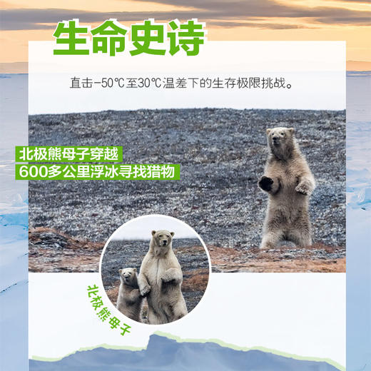 冰冻星球II：冰雪之上的奇迹世界 BBC纪录片 商品图3