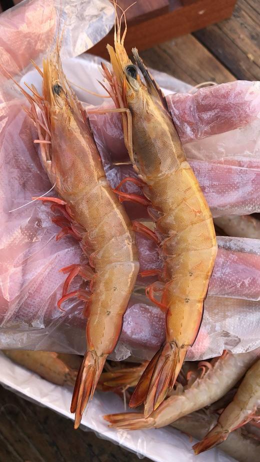 香蕉虾  纯野生捕捞虾壳透亮泛虹光 一口咬出野生虾独有的鲜甜浓香  生长在南海的虾中贵族 商品图1