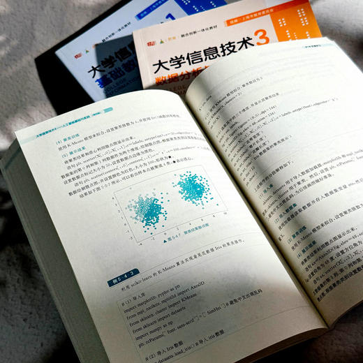 大学信息技术1-4 第四版 基础教程 数字媒体基础与实践 数据分析与可视化实践 人工智能基础与实践 商品图8
