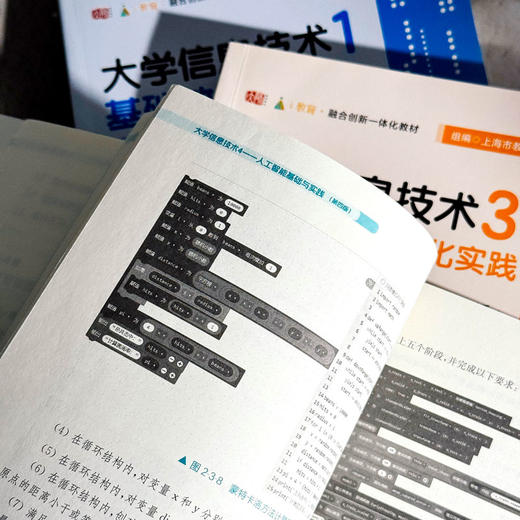 大学信息技术1-4 第四版 基础教程 数字媒体基础与实践 数据分析与可视化实践 人工智能基础与实践 商品图3