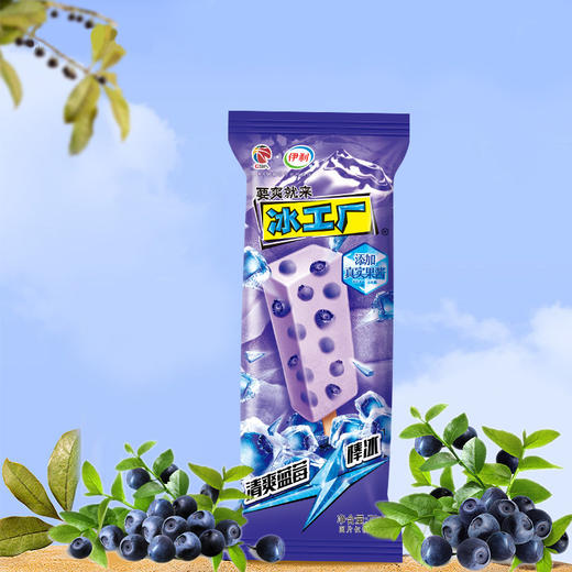 伊利冰工厂3种口味组合套餐C70克X18支 商品图2