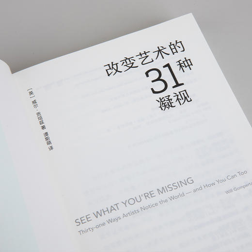 改变艺术的31种凝视  [英] 威尔·贡培兹 著 商品图9