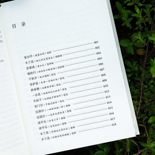 古典名著全本全注全译:宋词三百首 商品图3