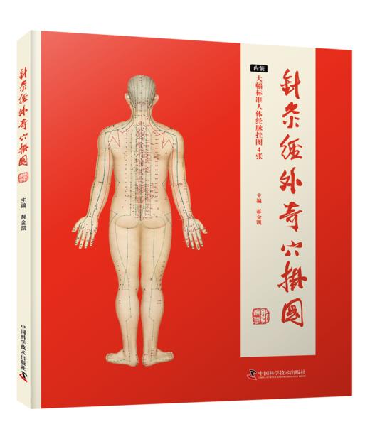 针灸经外奇穴挂图 商品图0
