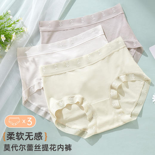 【3条装】雅黛俪莫代尔女士内裤柔软舒适透气纯棉裆底三角裤不夹臀蕾丝提花裤头 商品图2