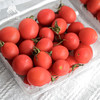 生态圣女果   | 合作生产 *Ecological Cherry Tomatos| Coproduction 商品缩略图2
