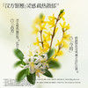 **【新粉专享|限购1份】￥19.9三片国韵人气星品面膜，补水控油 夏日天菜 商品缩略图6