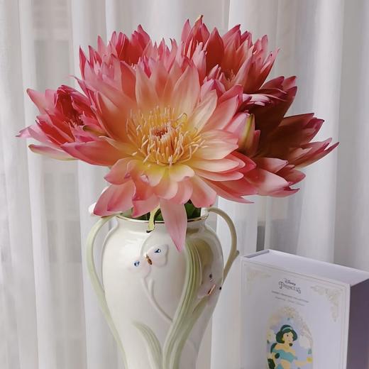 【暮色涟漪】睡莲-复色系 5枝 | 公众号专享 商品图0