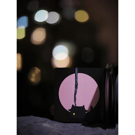 亮世界（一本蕴含中国太极哲学和太极美学的绘本） 商品图3