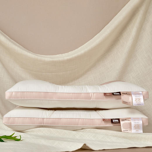 中式国风刺绣竹雅全棉棉麻决明子+羽丝绒护颈枕 商品图3