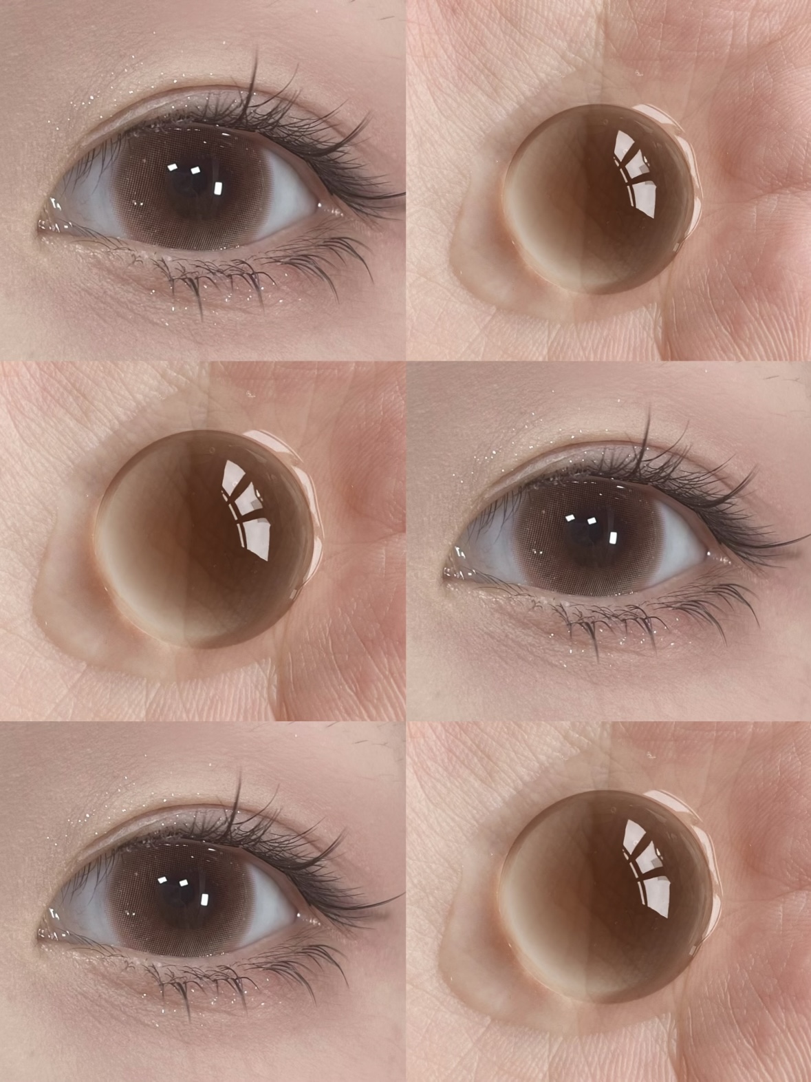 半年抛 织梦 14.2mm