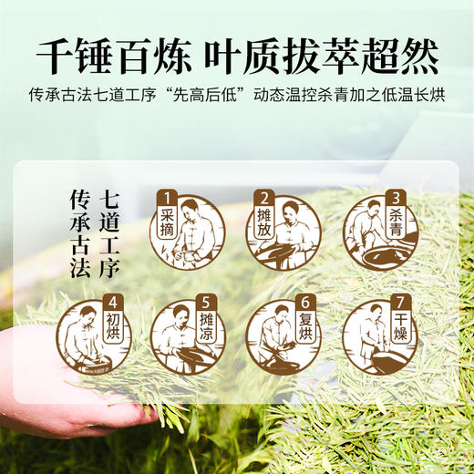 狮峰丨安吉珍鲜白茶 绿茶 特级 35g（3.5g*10袋）随行装 商品图3