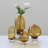 现代简约厚底大肚子小口玻璃水培高级感客厅餐厅样板房台面装饰品 商品缩略图1