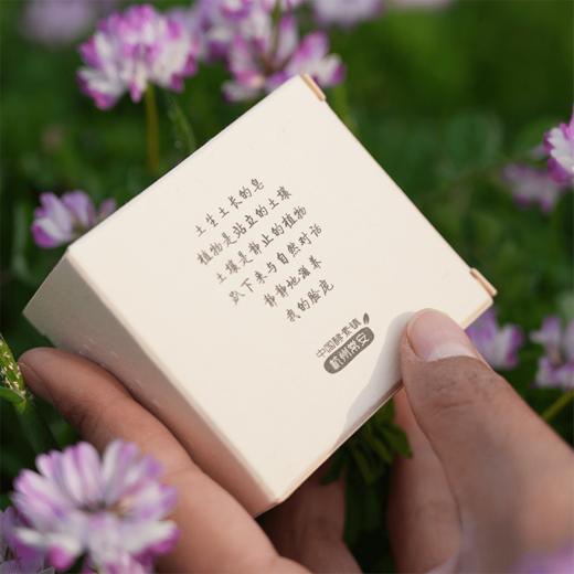 酵素精油皂65g/枚 纯素 泡沫细腻 温和不刺激 一皂多用 使用方便 商品图1